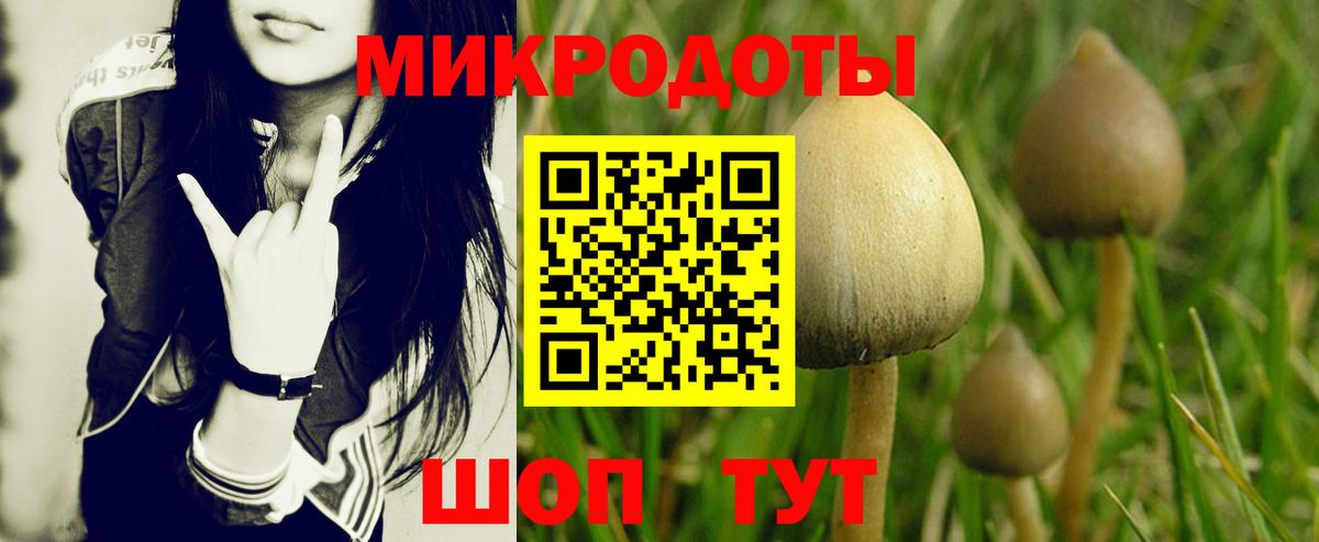 Галлюциногенные грибы Cubensis Октябрьский